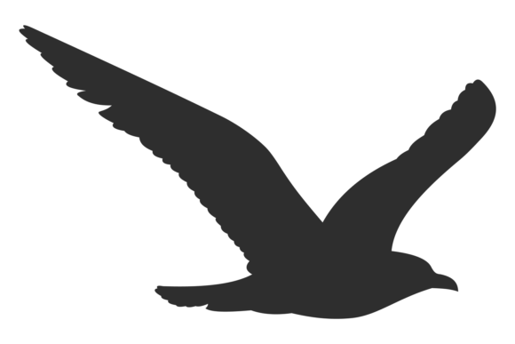 Wild Bird Flying: Black Animal Wings Sil for Bold Designs